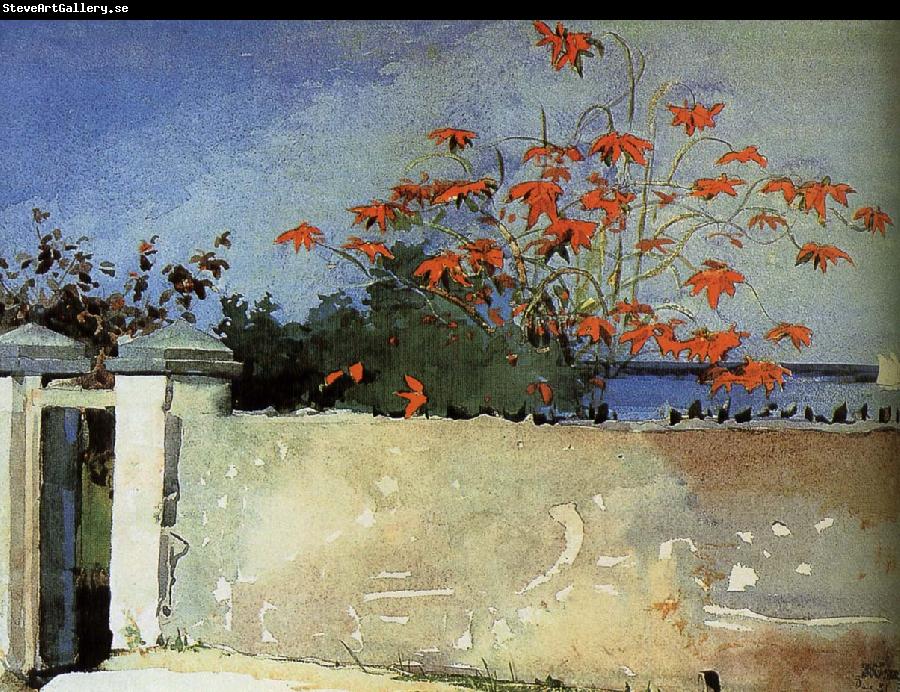 Winslow Homer Wall